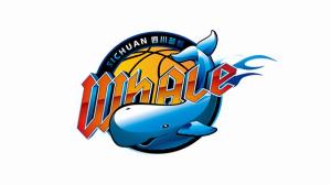 媒体人：四川男篮提交了准入材料 能否出战新赛季需等篮协做决定