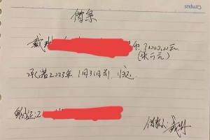 媒体人：向戴琳索要欠款的泰山球迷需要肝移植 频繁讨债收效甚微
