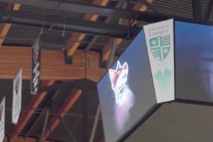 吉尼斯世界纪录最远的篮球反弹投篮距离为 30.01 米！